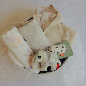 Cesta para bebés EconiceBaby