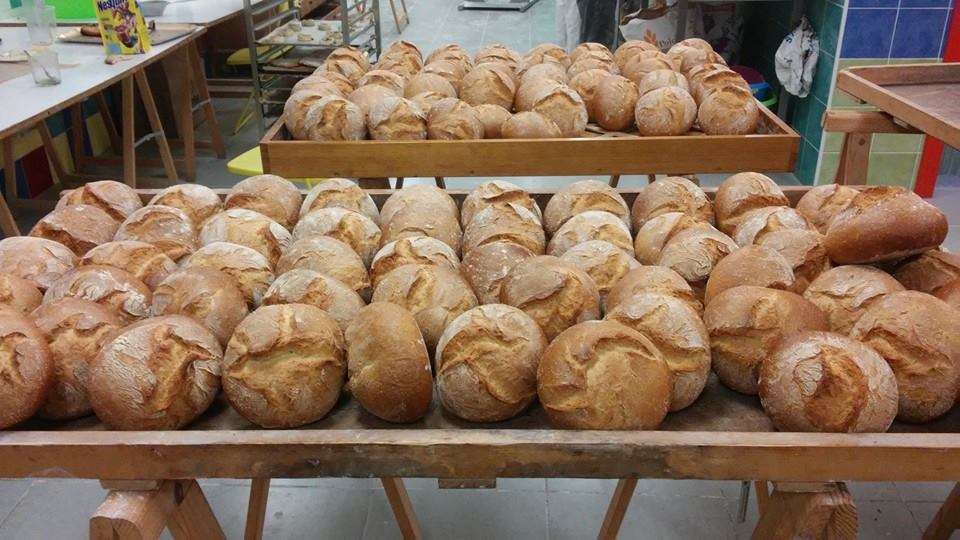 Panes recién hechos