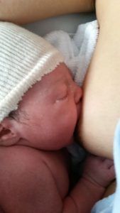 Ha nacido una Reina, su primer contacto con la tetita.