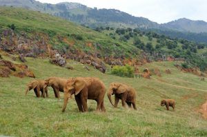 Parque de Cabárceno. Foto de taquilla.com
