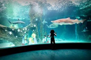 Zoo Aquarium de Madrid. Foto de taquilla.com