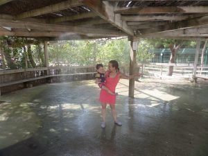 En el rociador de agua de la zona del bosque.