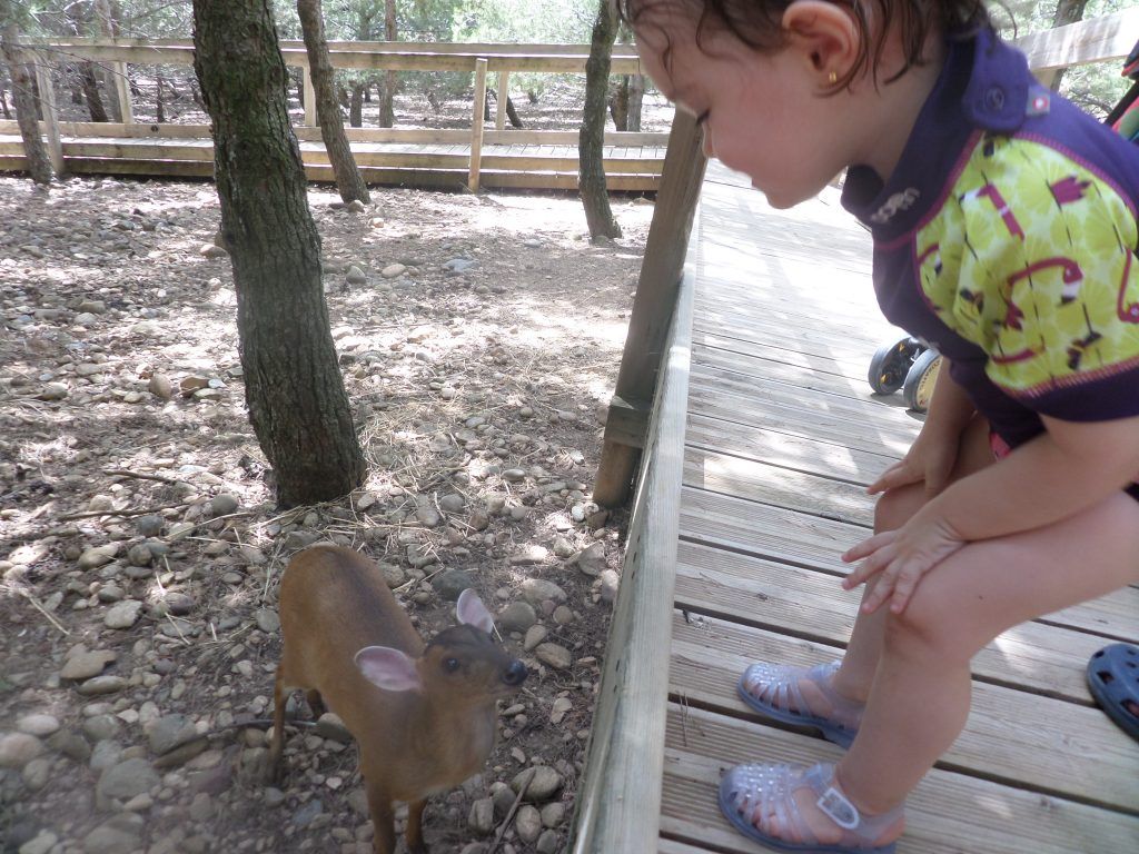 Vicky en el safari fotográfico.