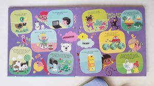 ¿Verdadero o falso?