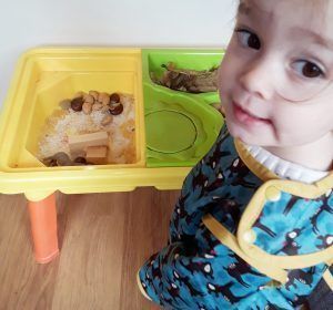 Victoria y la mesa de experimentación. 