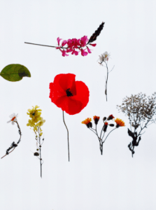 Mesa de luz. @montessori_mami.