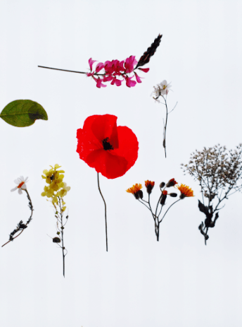 Mesa de luz. @montessori_mami.