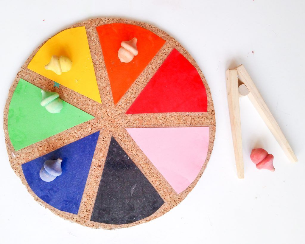 Bellotas en la rueda de colores.