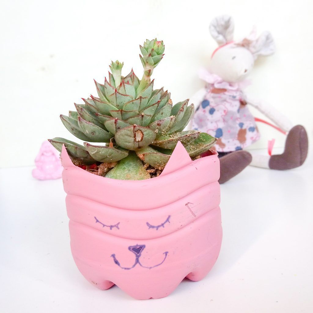 Gatito amante de las plantas.