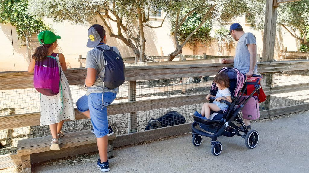 Los niños en la granja.