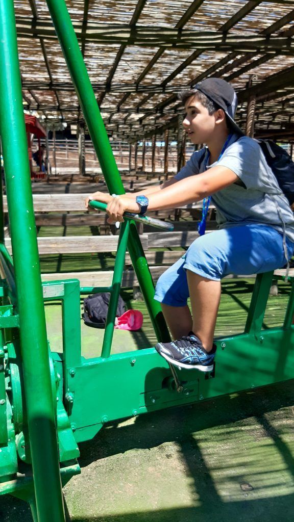 Bici para que funcione la mini noria.