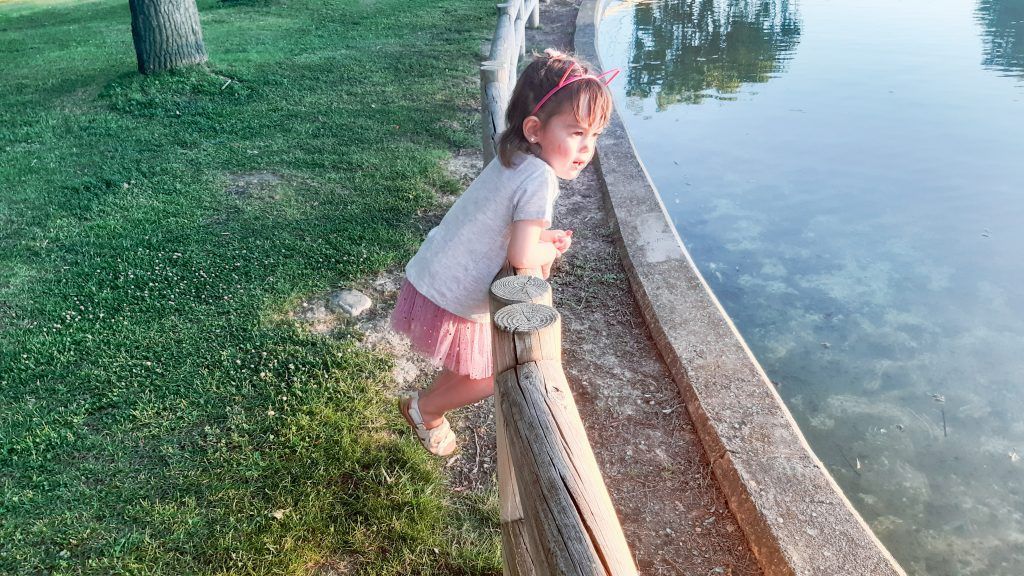 Se terminó el súper cumpleaños de gatitos.