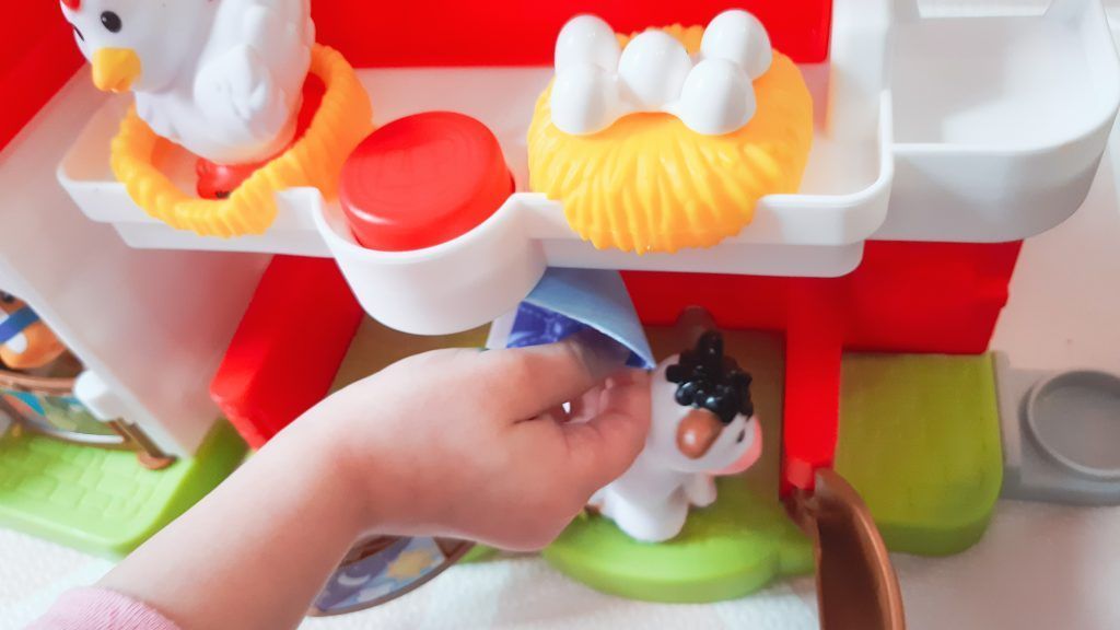 Arropando a la vaca.