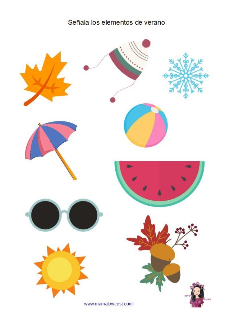 Actividad elementos verano