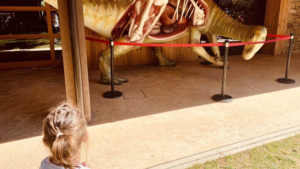 Portada enciso y el barranco perdido