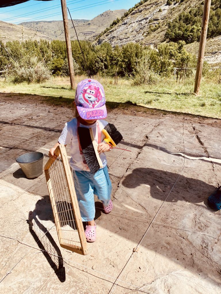 Trabajo de campo listo