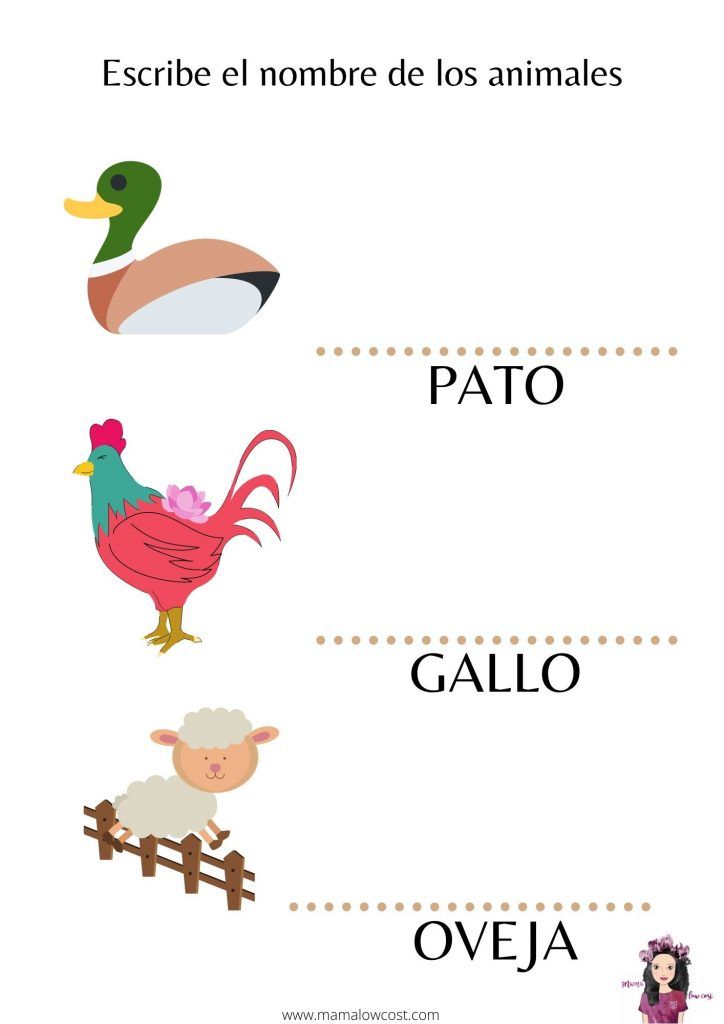 Escribe el nombre de los animales