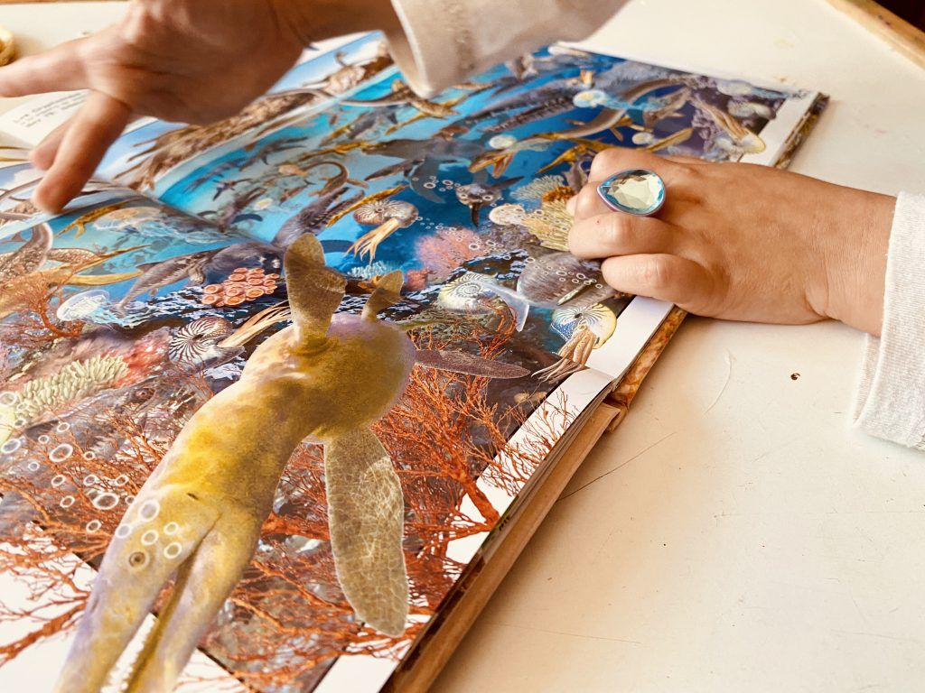 Contando dinos en libro de dinosaurios y material imprimible