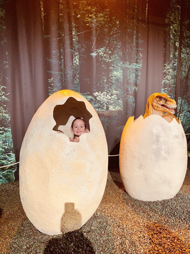 Se pueden sacar fotos dentro de los huevos