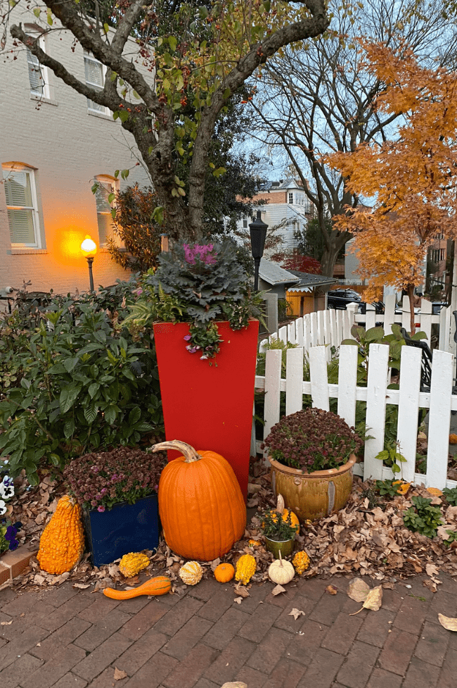 Calabazas decorando una parte de Georgetown