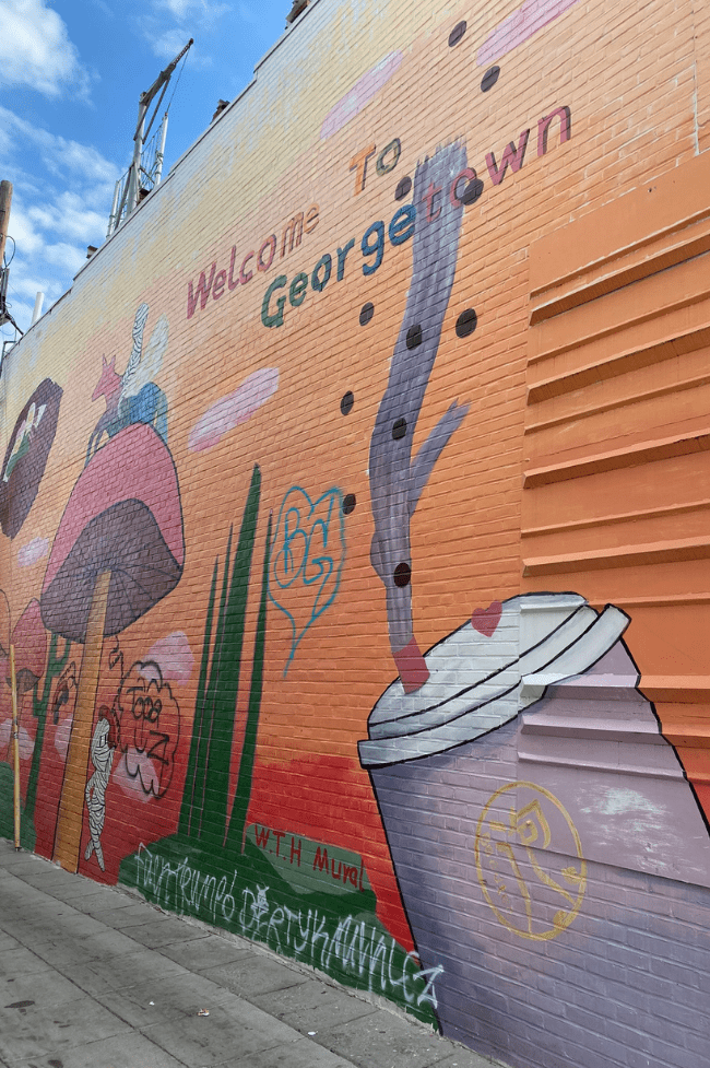 Mural pintado en el barrio de Georgetown