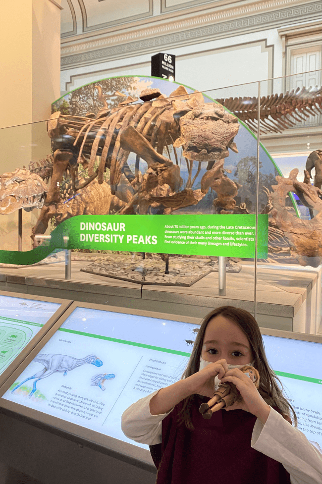Niña de 5 años en el museo de historia natural junto a fósiles de dinosaurios