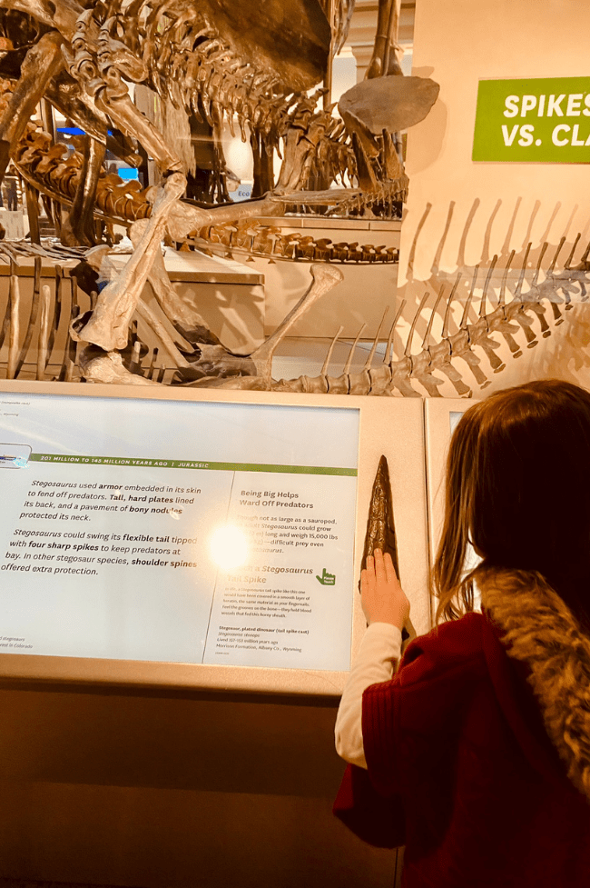 niña de 5 años tocando fósil de dinosaurio con la mano