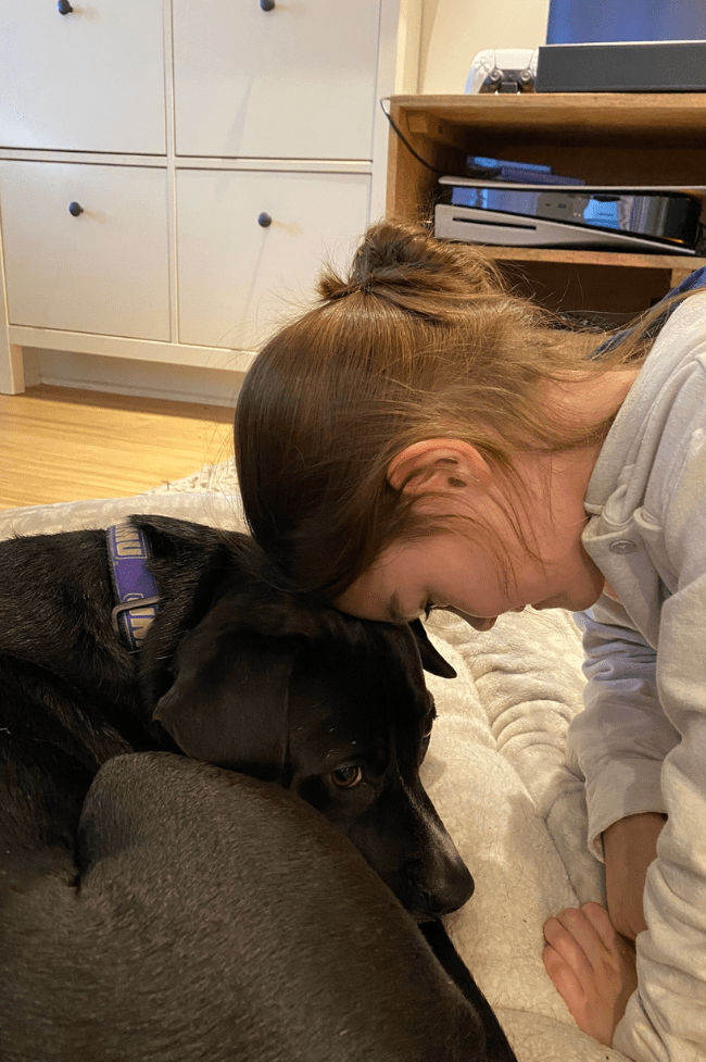 PLAnes low-cost en Washington DC