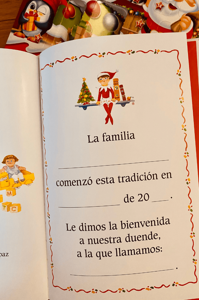 Adopción elfo travieso