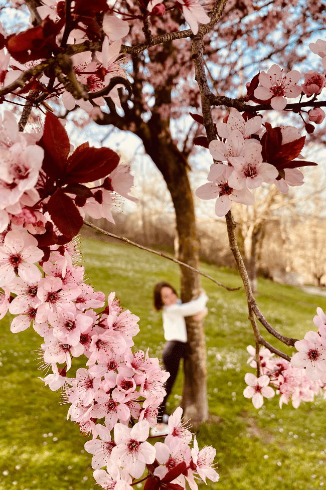 Actividades de primavera que se pueden hacer con peques