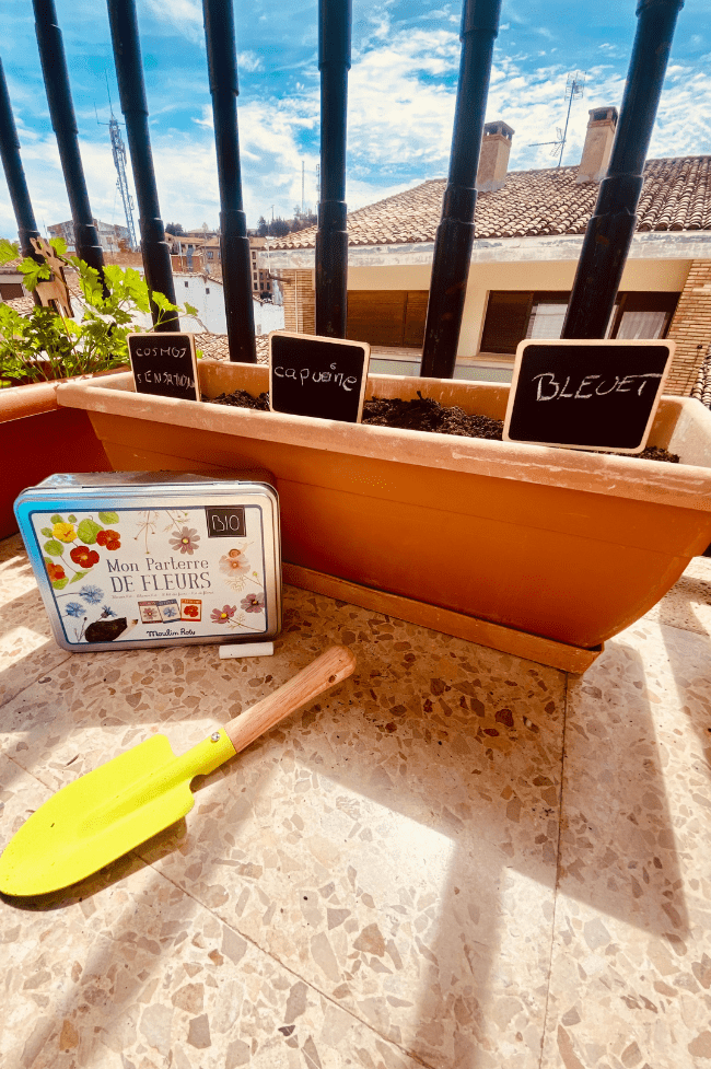 Macetero con carteles de nombres de flores. actividades de primavera