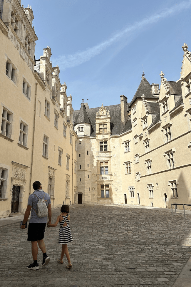 castillo de pau enrique IV que hacer en pau