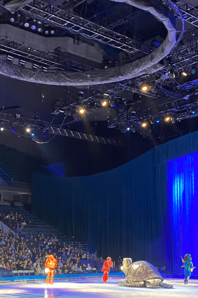 buscando a nemo en madrid