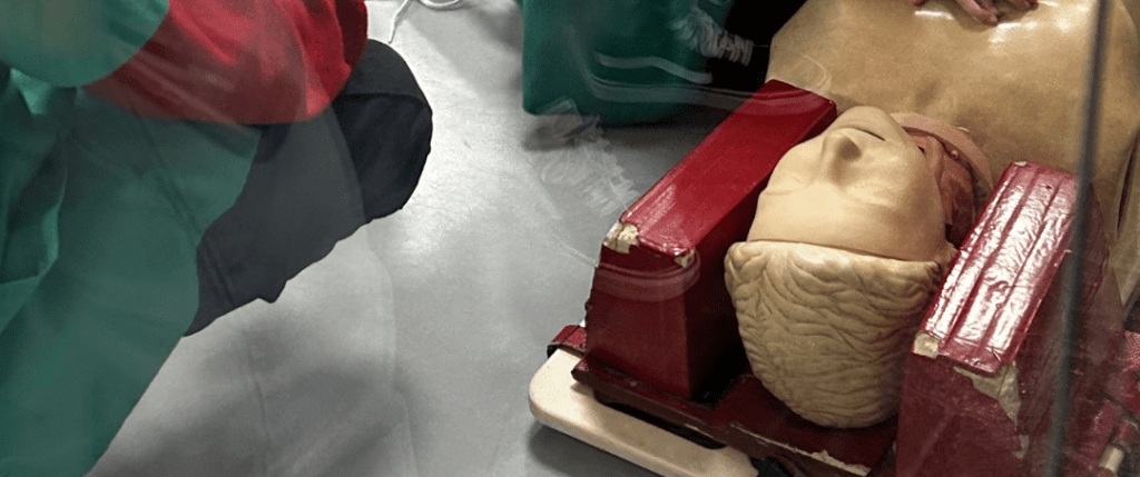 Visita Micropolix: el planazo con peques en Madrid