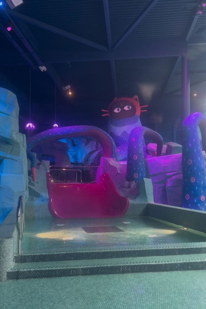 Aquascope: descubre el parque acuático más sensorial y emocionante de Francia