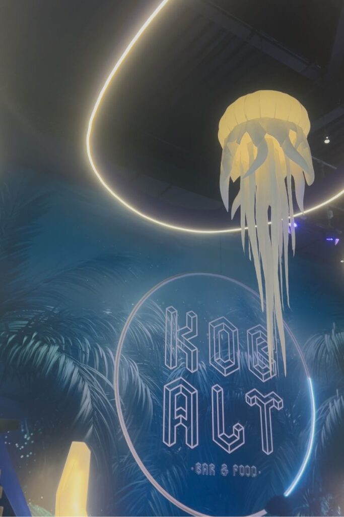 Aquascope: descubre el parque acuático más sensorial y emocionante de Francia